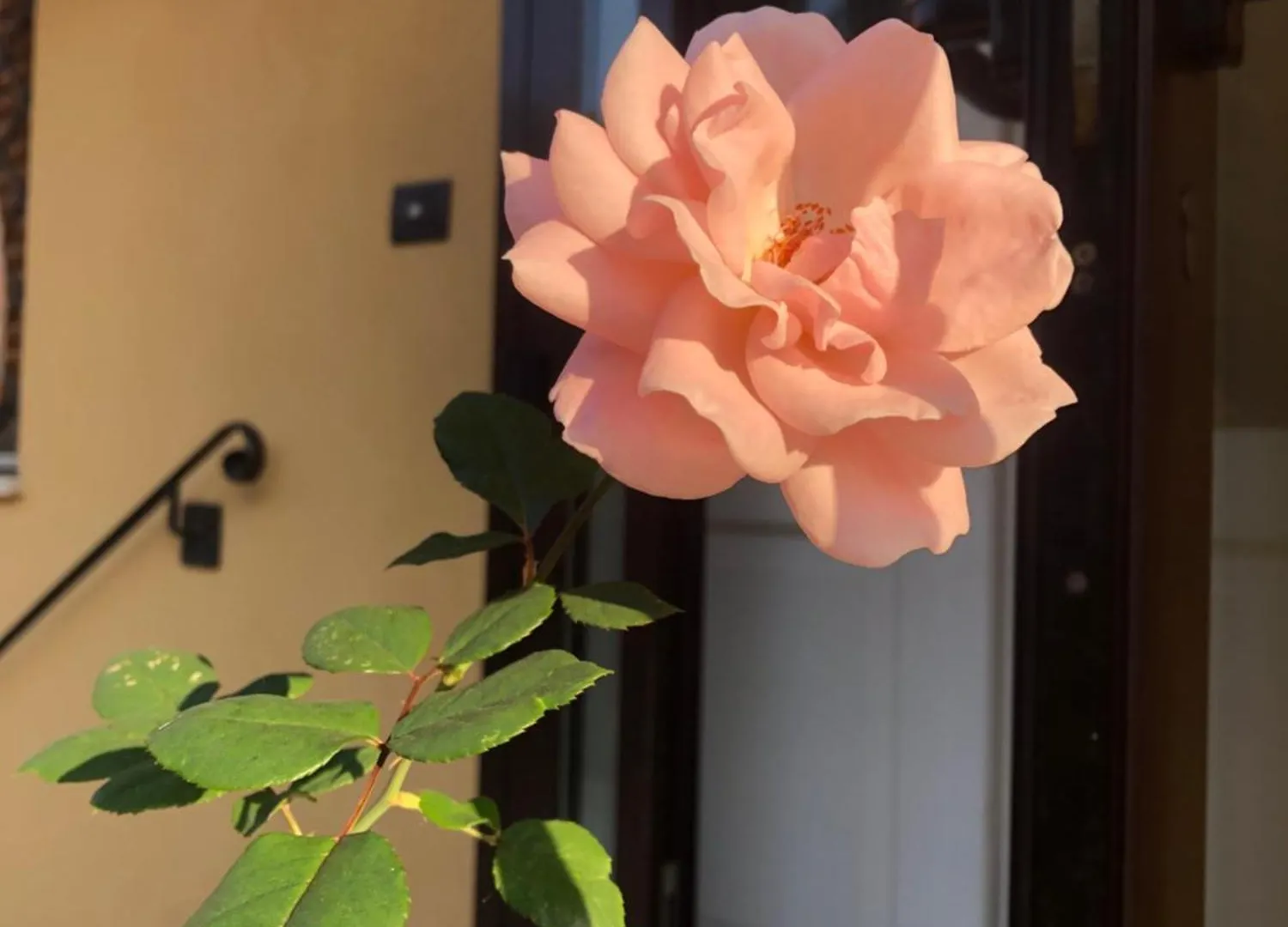 R&B Midora Montale Hotel Montale